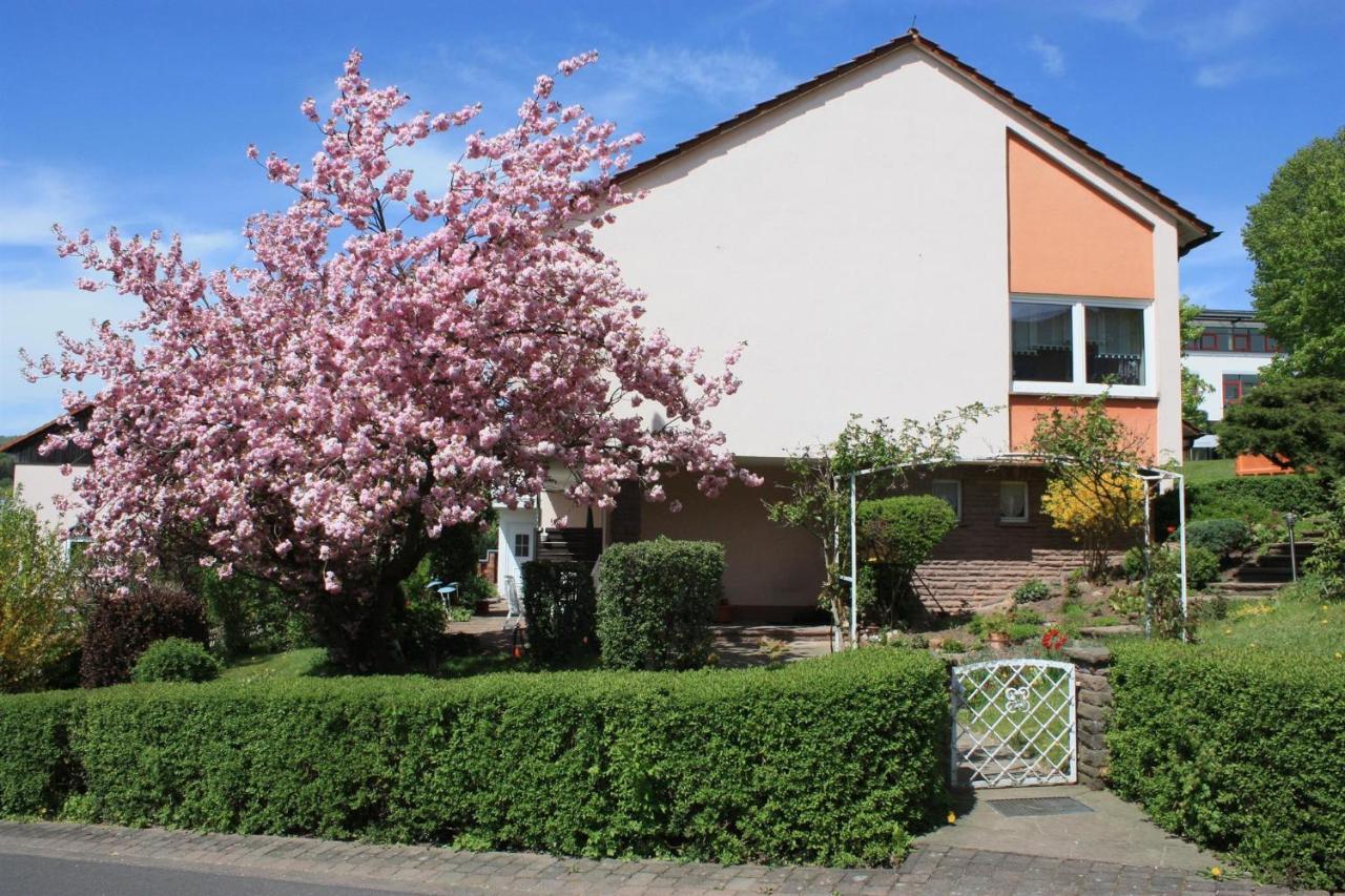 Haus Mueller Adelheid Appartement Hilders Buitenkant foto